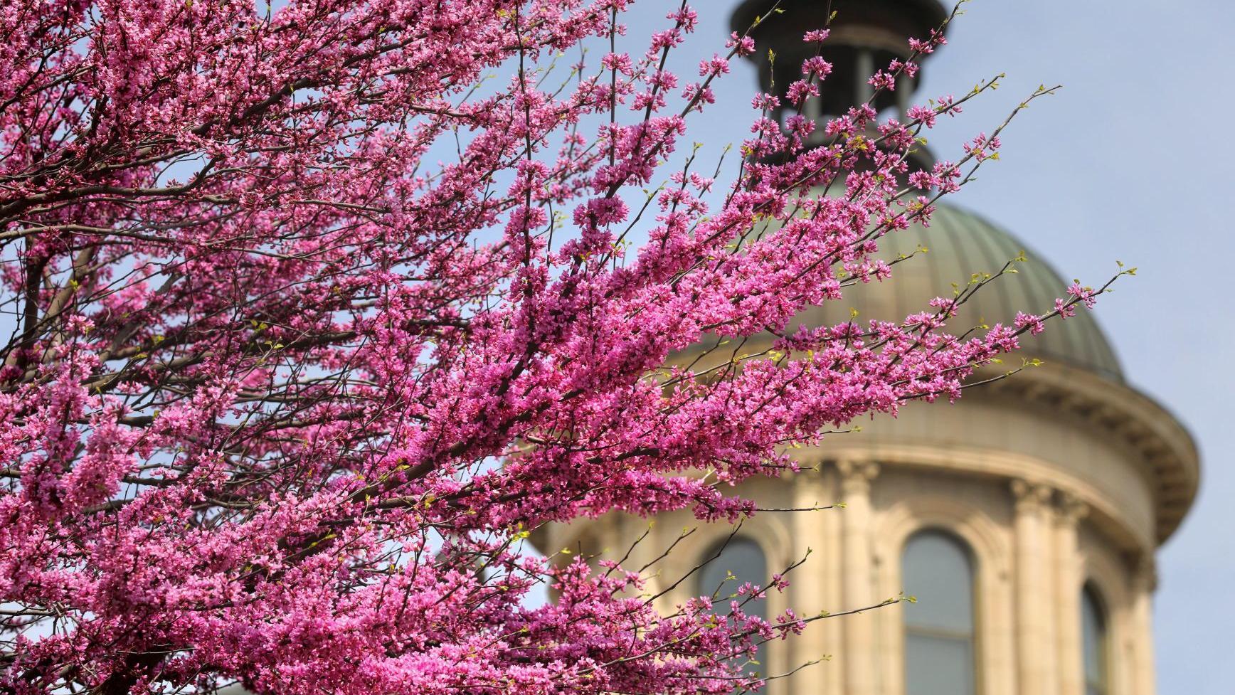 Councilman's septic tank problem could change St. Charles County building rules